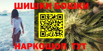 стафф Новокубанск
