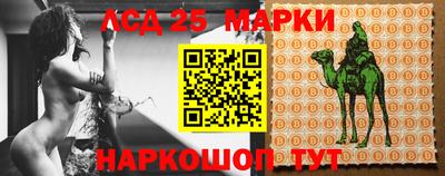 стафф Новокубанск
