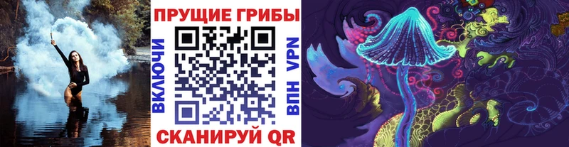 Псилоцибиновые грибы Psilocybe Тулун